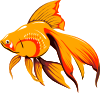 Golden Fish Clip Art