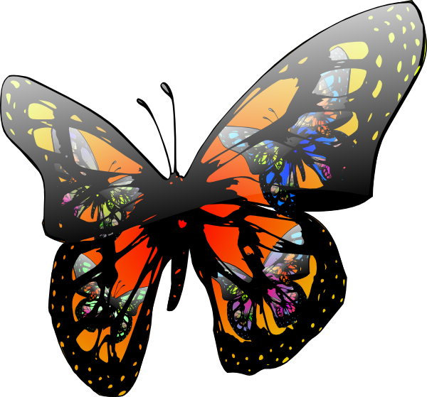 Animated Images Of Butterflies. Butterfly With Lighting Effect