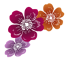 Wild Roses Clip Art