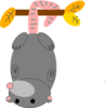 Possum Orange Clip Art