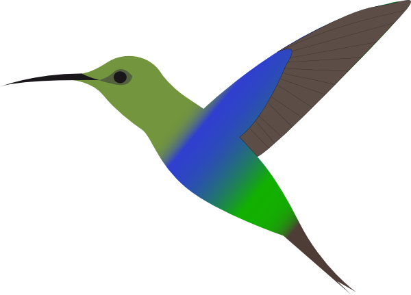 free animated hummingbird clipart - photo #19