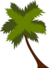 Coconut Tree Clip Art