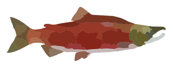 salmon fish clip art free - photo #16