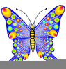 Free Cliparts Butterflies Image