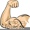 Buff Guy Clipart Image