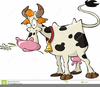 Free Cartoon Cows Clipart Image