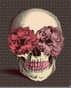 Skulls Wallpaper Tumblr Image
