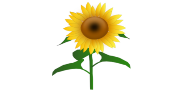 Sunflower | Free Images at Clker.com - vector clip art online, royalty