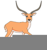 Animated Antelope Clipart Image
