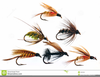 Fly Fishing Flies Clipart Image