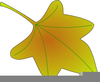 Grape Leaf Clipart Image