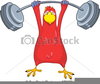 Free Cartoon Parrot Clipart Image