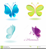Butterfly Border Clipart Free Image