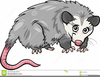Cute Possum Clipart Image