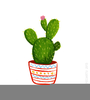 Free Clipart Cactus Flower Image