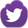 Twitter Bird Icon Image