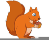 Clipart Acorns Squirrels Image