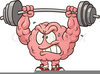 Royalty Free Brain Clipart Image