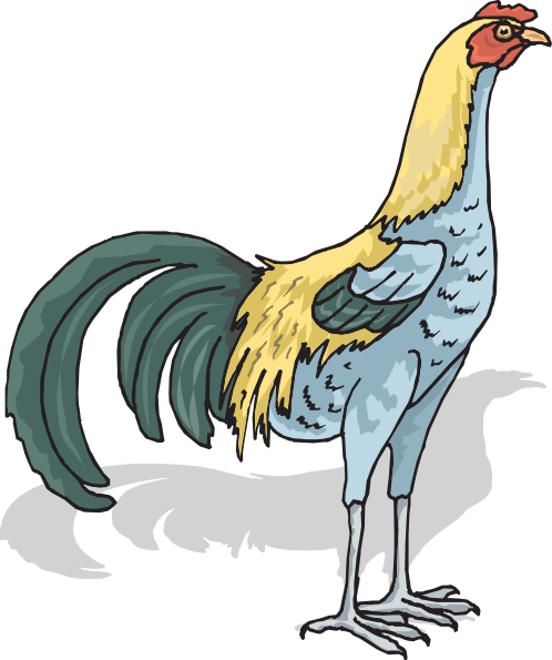 rooster clip art free pictures - photo #32