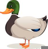 Free Goose Clipart Image