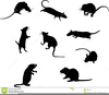 Cat Shadow Clipart Image