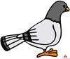 Free Clipart Of Pigeon Image