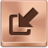 Import Icon Image