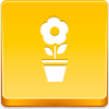 Pot Flower Icon Image