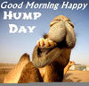 Happy Hump Day Camel Clipart Image