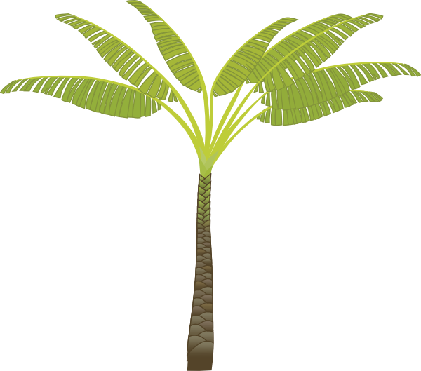 palm tree clip art - photo #30