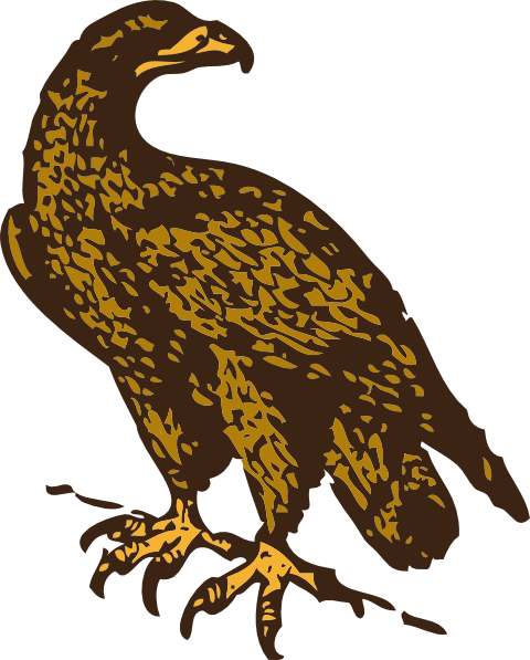 golden eagle flying. Bird middot; By: OCAL 5.4/10 3 votes