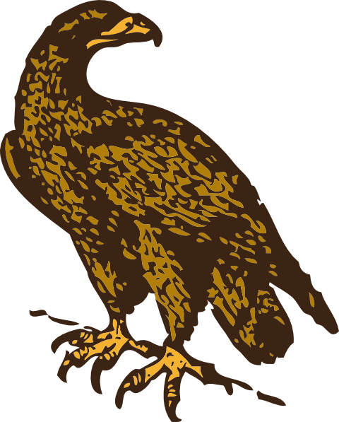 eagle cartoon clip art - photo #32