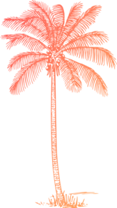 Coral Palm Tree Clip Art