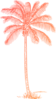 Coral Palm Tree Clip Art