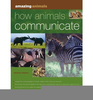 How Animals Communicate Image