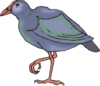 Takahe Clip Art