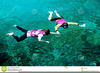 Free Clipart Snorkeling Image