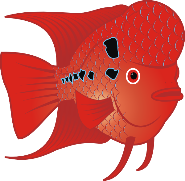 ocean animals clip art. Flowerhorn Fish clip art