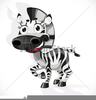 Baby Zebra Clipart Free Image