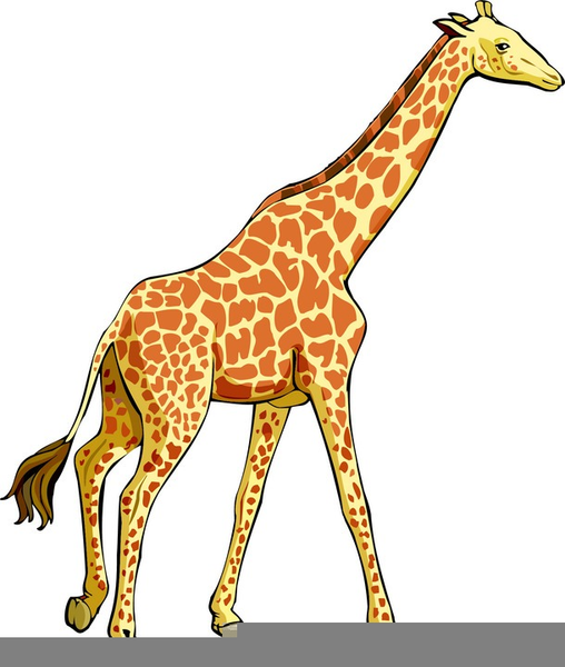 Cute Baby Giraffe Clipart | Free Images at Clker.com - vector clip art