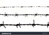 Barb Wire Clipart Free Image
