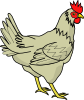 Davidone Chicken Clip Art