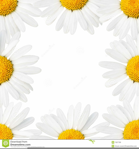 Free Daisy Clipart Borders Free Images At Clker Vector Clip Art