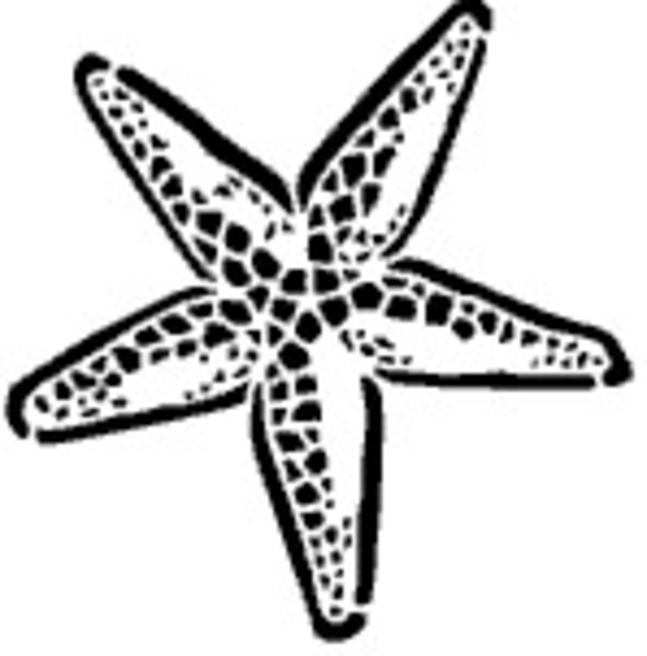 clipart pictures starfish - photo #33