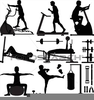 Free Clipart Of Exercise Equipment Image