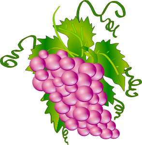 Wine Grapes Clip Art