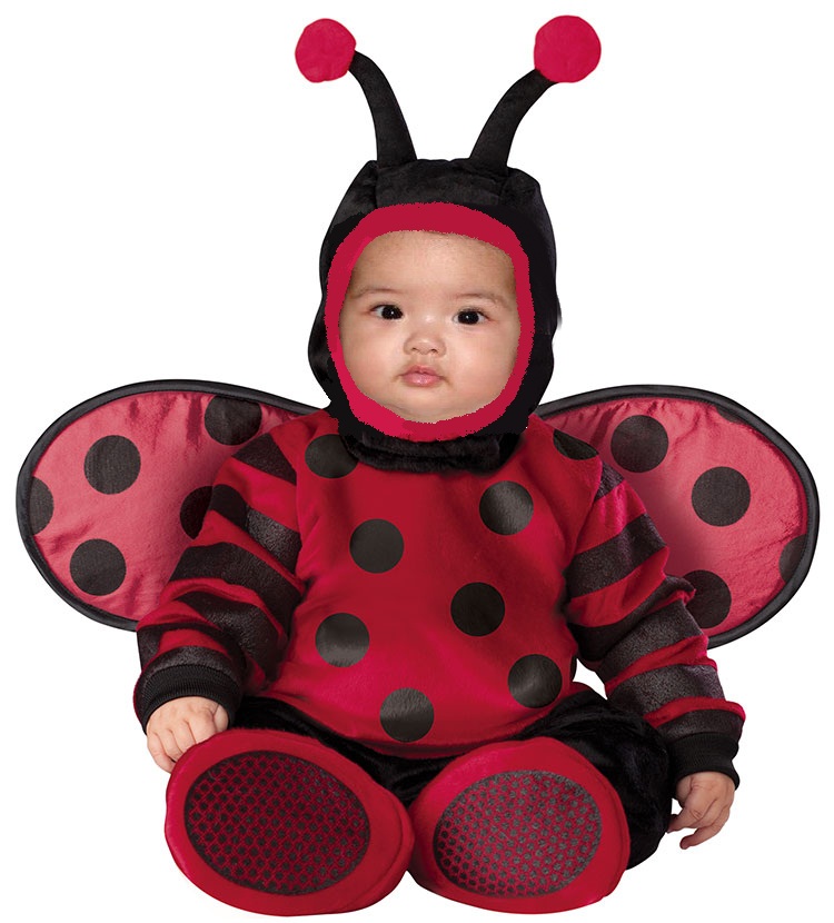 Ladybug KostГјme Ladybug KostГјme
