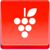 Grapes Icon Image