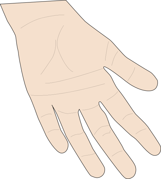 open hand clipart. Hand Palm clip art