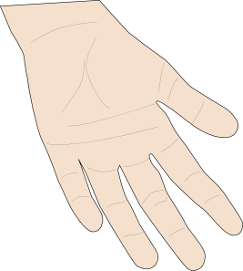 Hand Palm Clip Art